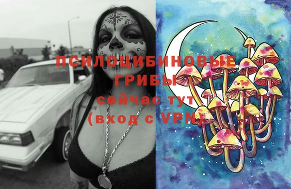 прущие крисы Протвино