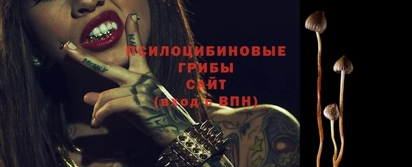 скорость Приозерск