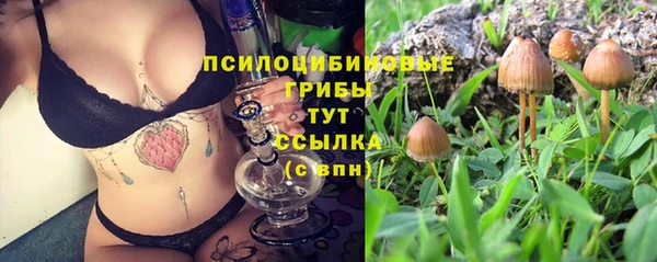 таблы Алзамай