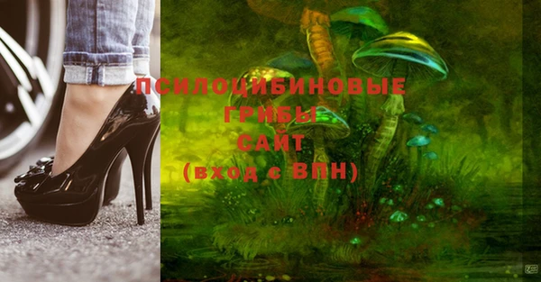 таблы Алзамай